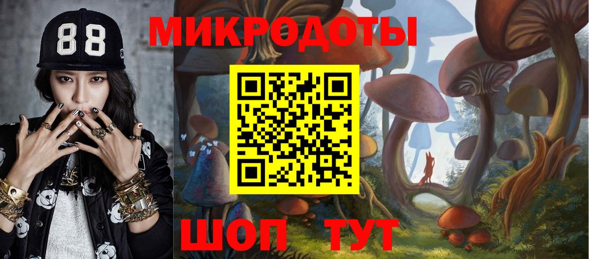 Псилоцибиновые грибы прущие грибы  закладки  Челябинск  Вход с VPN 